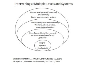 Intervening at Multiple Levels and Systems